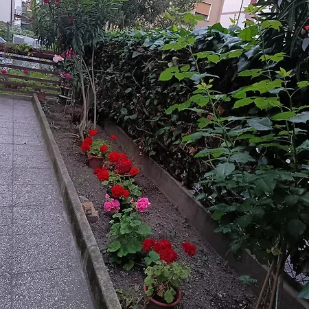 Venice Station * Mestre