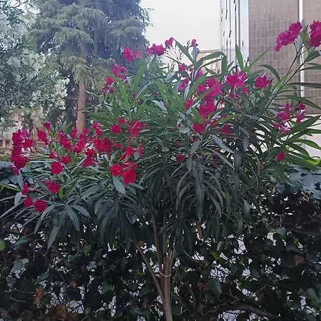 Venice Station Quarto em Acomodações Particulares