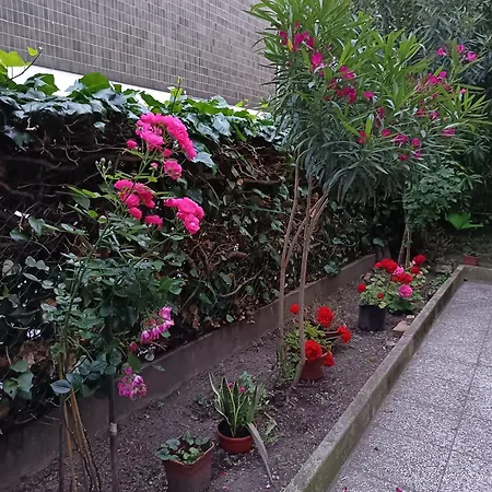 Venice Station Mestre