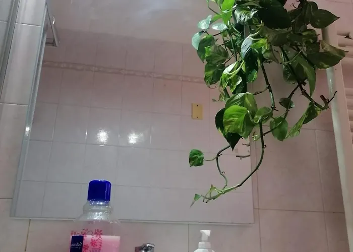 Проживание в семье Venice Station *