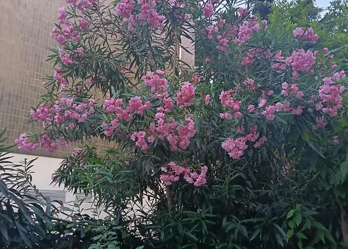 Проживание в семье Venice Station Местре