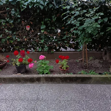 Venice Station Mestre